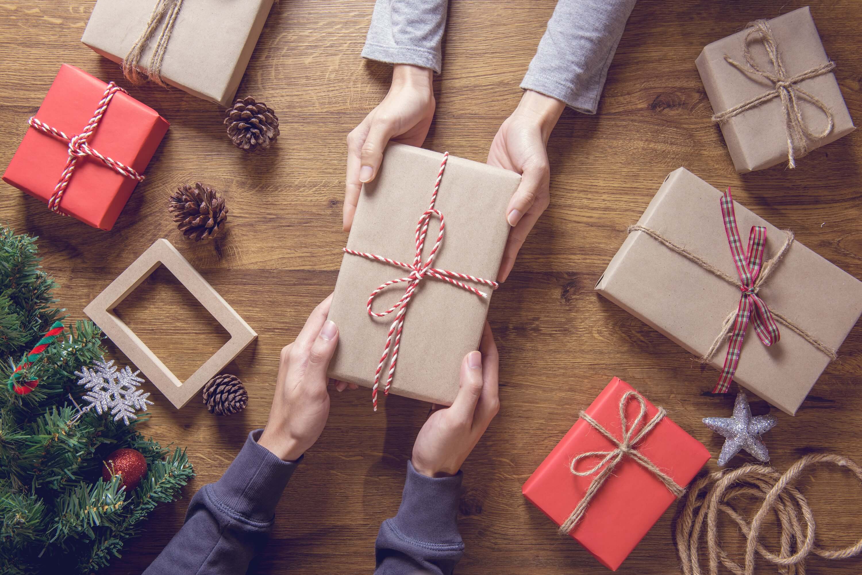 Christmas gifts that will both please and help - BoraTree